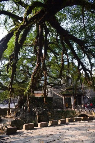 博皓游記 | 夏風(fēng)微醺的綺夢(mèng)，領(lǐng)略賀州黃姚古鎮(zhèn)、姑婆山閑憩之美-12