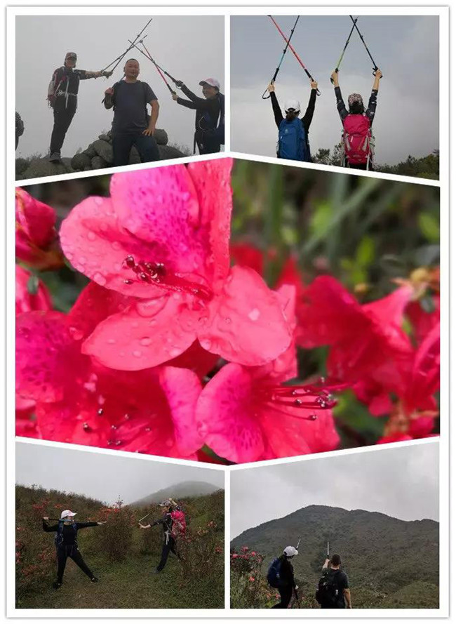 3月29日，云浮新興縣登天麓山&賞杜鵑花