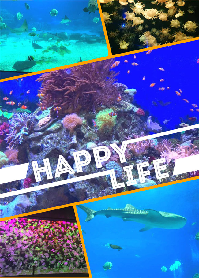 廣東博皓親子游：珠海長隆海洋王國，探索海洋生物的奧秘，奇妙的動物世界