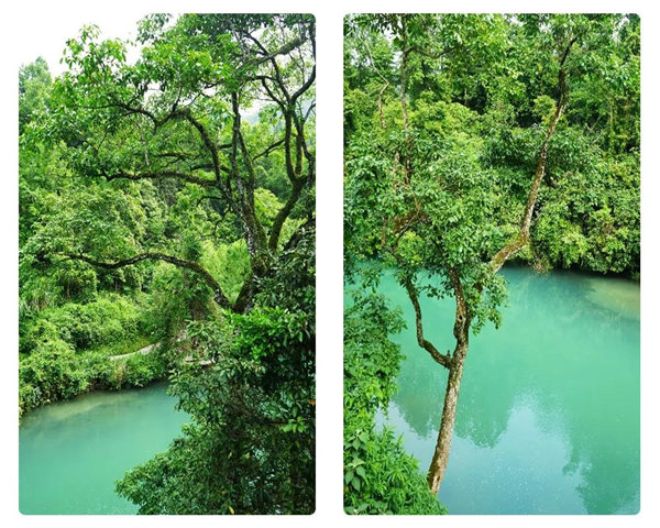 多彩貴州，魅力天下，2021年廣東博皓快樂貴州行-29
