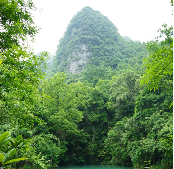 賞華夏大地，游多彩貴州-－2021年廣東博皓快樂行-2