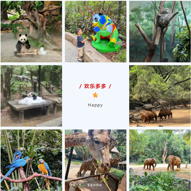 大手牽小手，快樂親子游！廣東博皓2023年親子游活動(dòng)        -8
