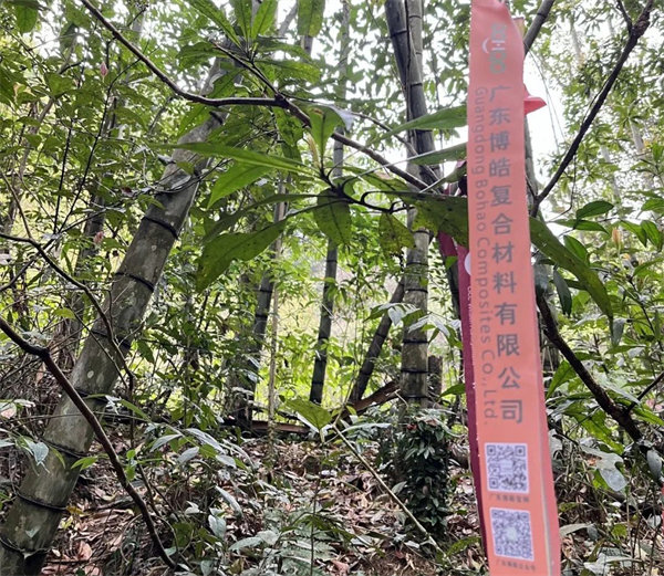 凝心聚力再出發(fā)，風(fēng)雨同舟赴星溪！--廣東博皓2024龍年首登星溪之旅     -2